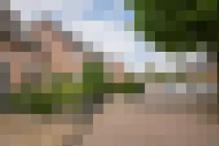 de Wiek 26 Wijk en Aalburg thumbnail 33