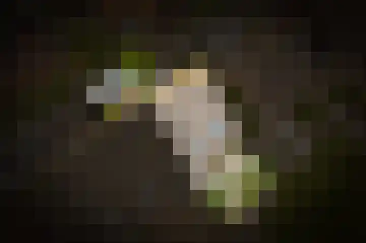 de Wiek 26 Wijk en Aalburg thumbnail 38