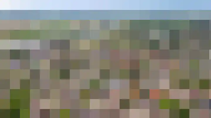 de Wiek 26 Wijk en Aalburg thumbnail 39