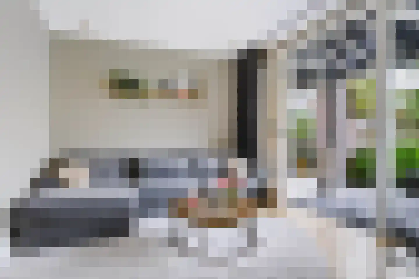 De Wiek 31 Kootwijkerbroek thumbnail 12