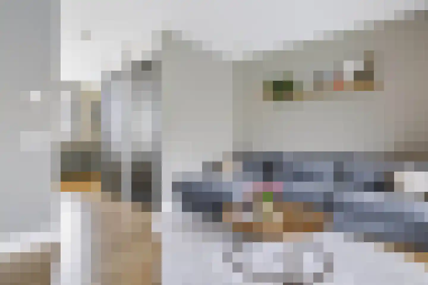 De Wiek 31 Kootwijkerbroek thumbnail 15