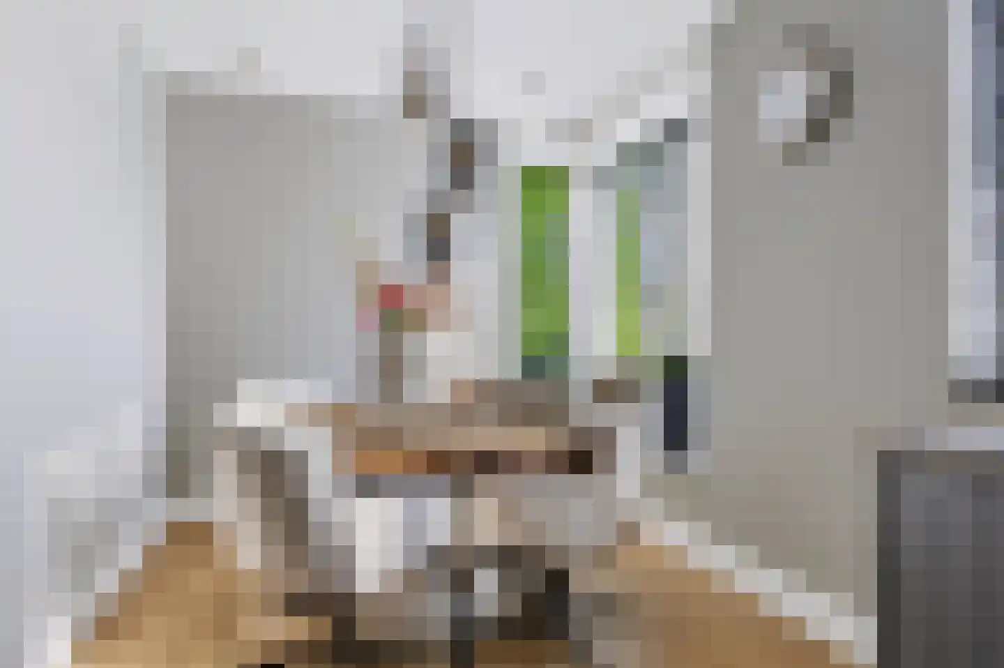 De Wiek 31 Kootwijkerbroek thumbnail 17