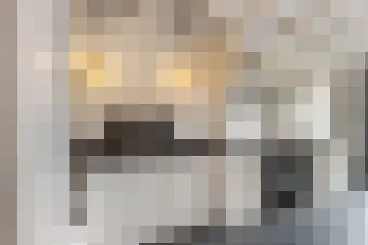 De Wiek 37 Kootwijkerbroek thumbnail 18