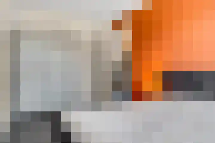 De Wiek 37 Kootwijkerbroek thumbnail 22