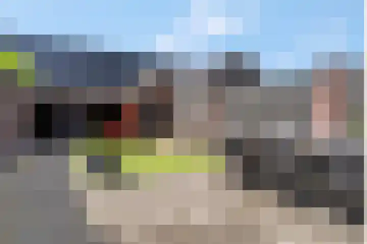 De Wiek 37 Kootwijkerbroek thumbnail 33