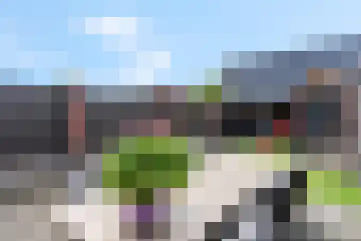 De Wiek 37 Kootwijkerbroek thumbnail 34