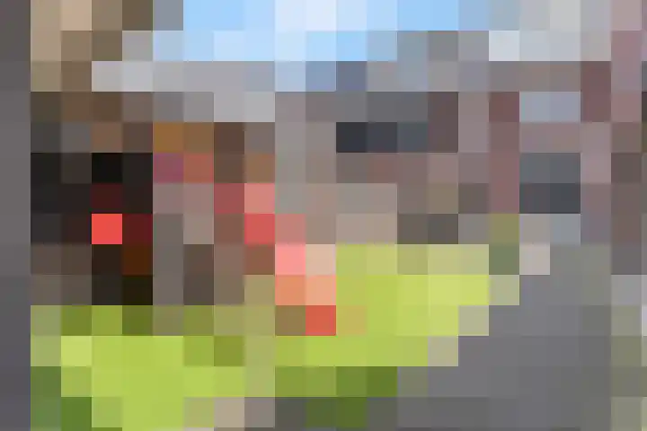 De Wiek 37 Kootwijkerbroek thumbnail 36