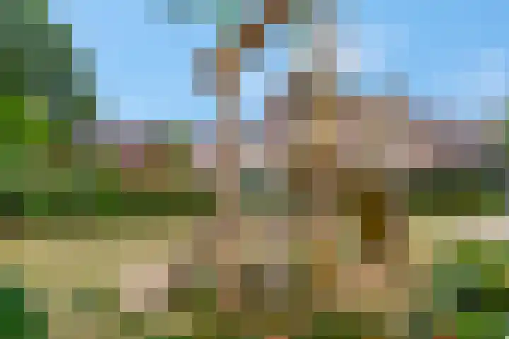 De Wiek 37 Kootwijkerbroek thumbnail 41
