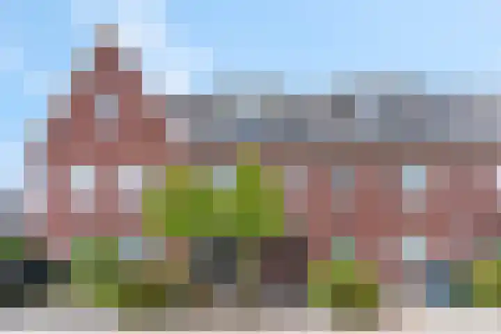 De Wiek 37 Kootwijkerbroek thumbnail 5
