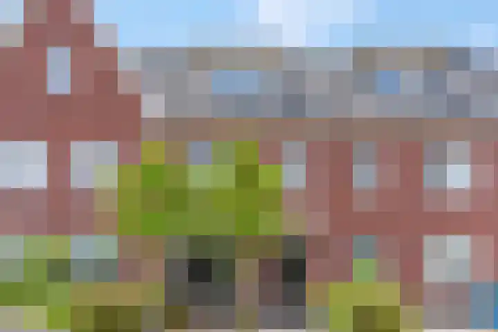De Wiek 37 Kootwijkerbroek thumbnail 6