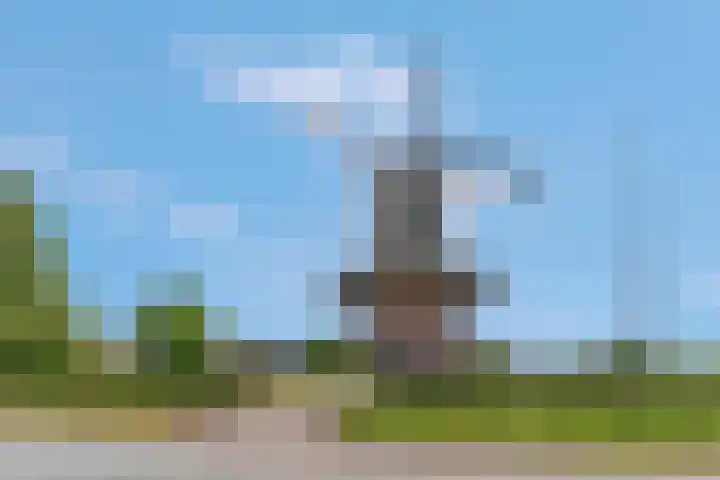 De Wiek 37 Kootwijkerbroek thumbnail 8