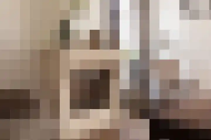 De Wiek 49 Kootwijkerbroek thumbnail 12