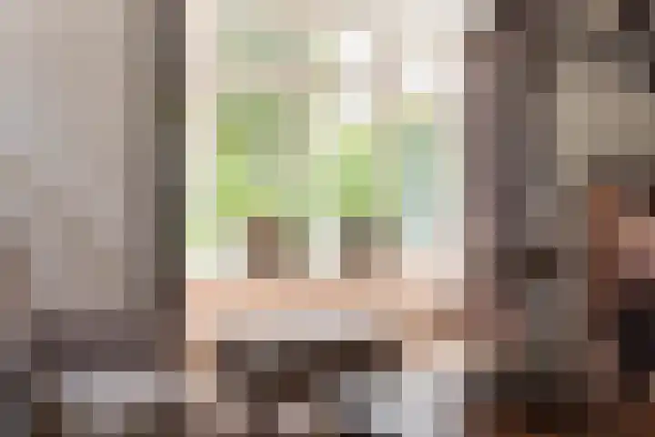 De Wiek 49 Kootwijkerbroek thumbnail 14