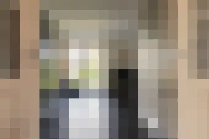De Wiek 49 Kootwijkerbroek thumbnail 16