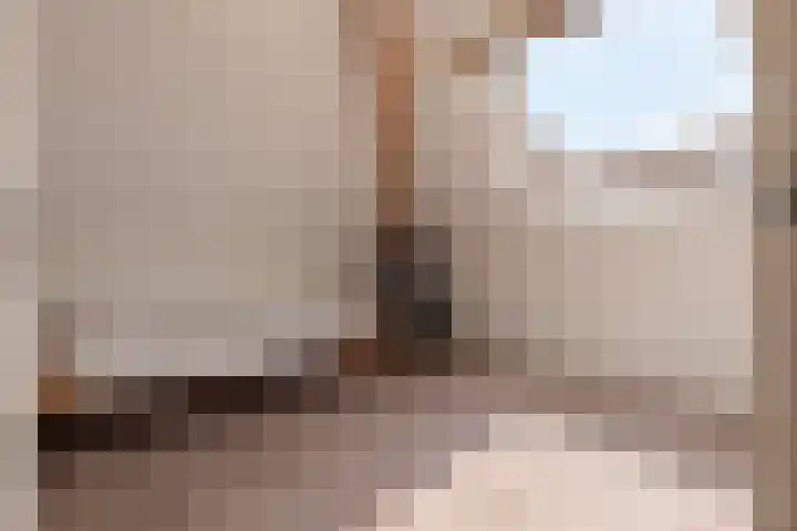 De Wiek 49 Kootwijkerbroek thumbnail 38