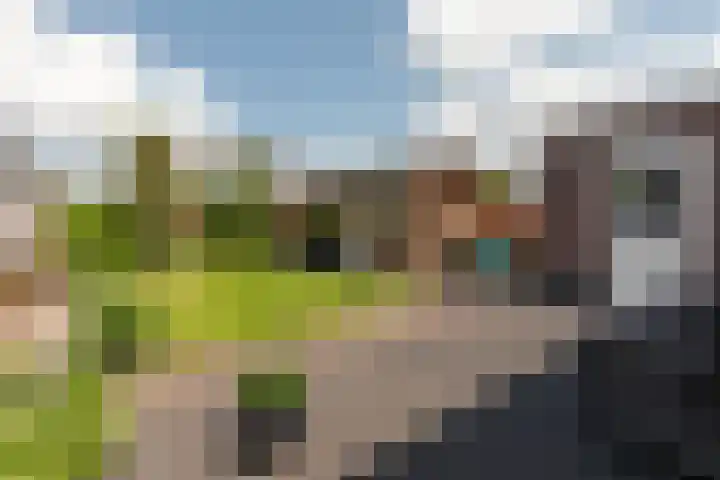 De Wiek 49 Kootwijkerbroek thumbnail 40