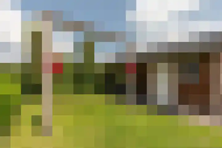 De Wiek 49 Kootwijkerbroek thumbnail 42