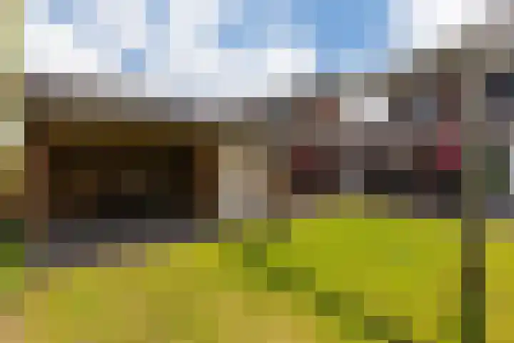 De Wiek 49 Kootwijkerbroek thumbnail 43