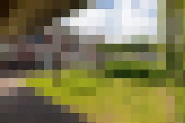 De Wiek 49 Kootwijkerbroek thumbnail 44