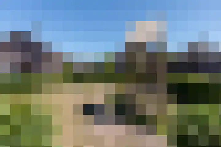 De Wiek 49 Kootwijkerbroek thumbnail 46