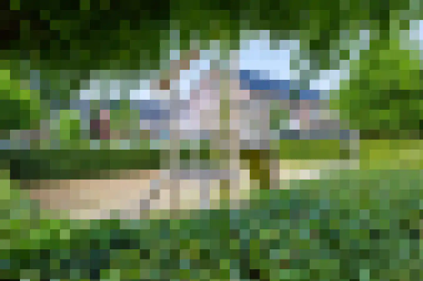 De Wiek 50 Kootwijkerbroek thumbnail 38