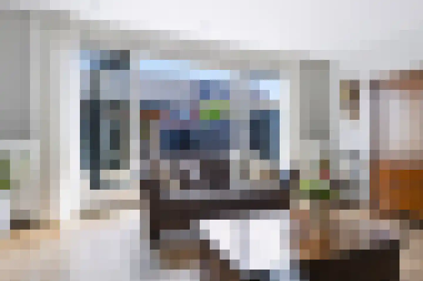 De Wiek 50 Kootwijkerbroek thumbnail 8