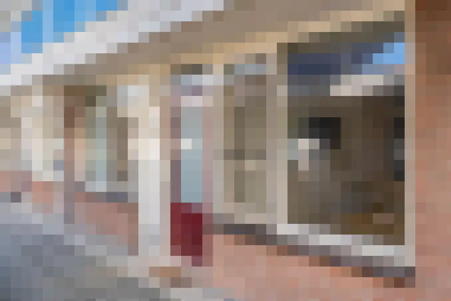 De Wiek 79 Ede thumbnail 12
