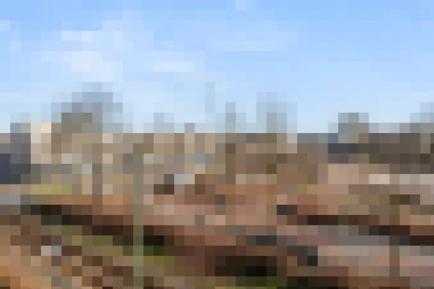 De Wiek 79 Ede thumbnail 24