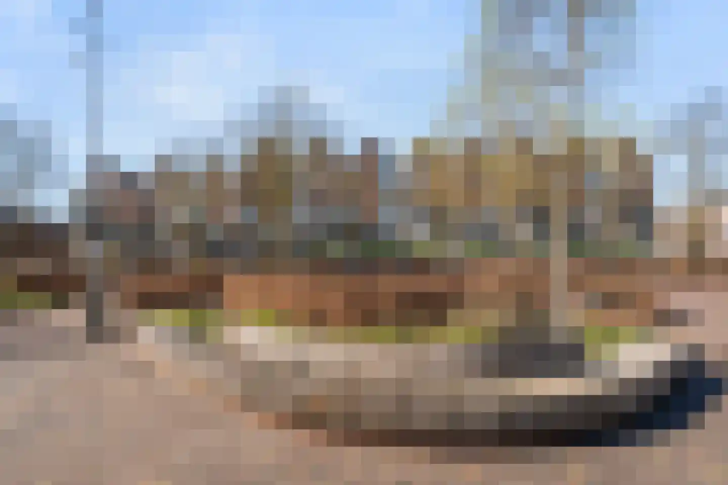 De Wiek 79 Ede thumbnail 5