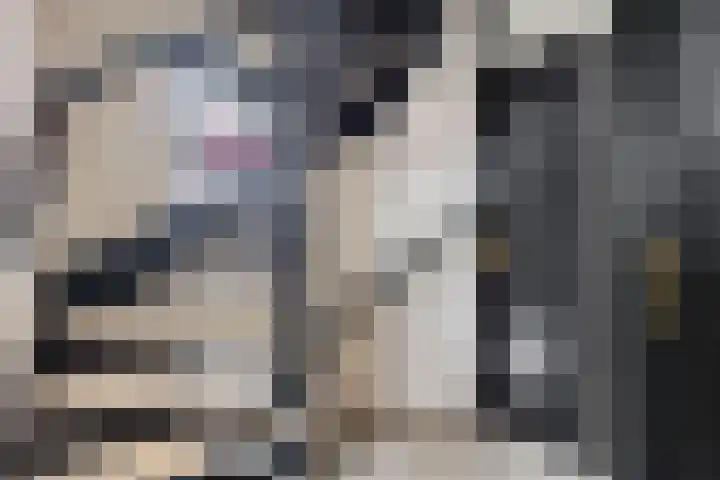 De Wieke 19 Valthermond thumbnail 15