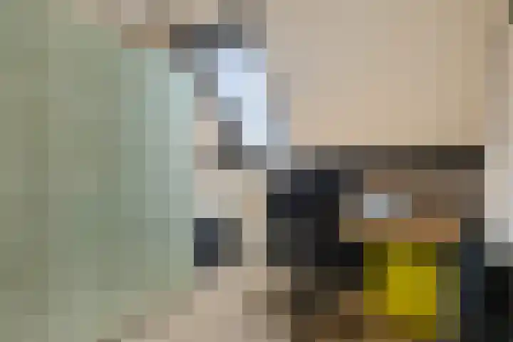 De Wieke 19 Valthermond thumbnail 19