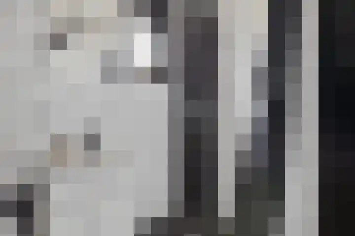De Wieke 19 Valthermond thumbnail 26