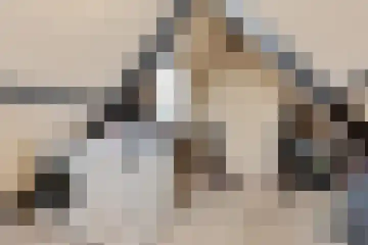 De Wieke 19 Valthermond thumbnail 28