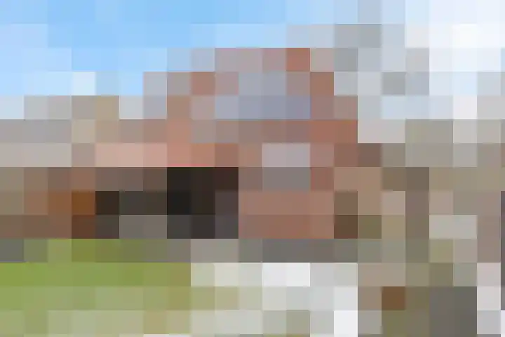 De Wieke 19 Valthermond thumbnail 34