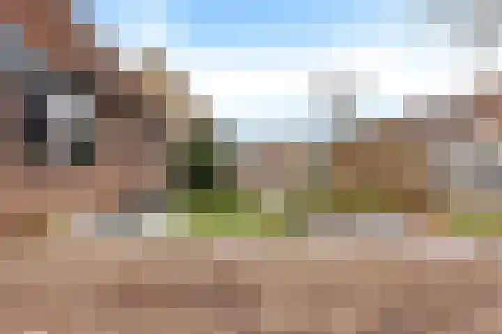 De Wieke 19 Valthermond thumbnail 39