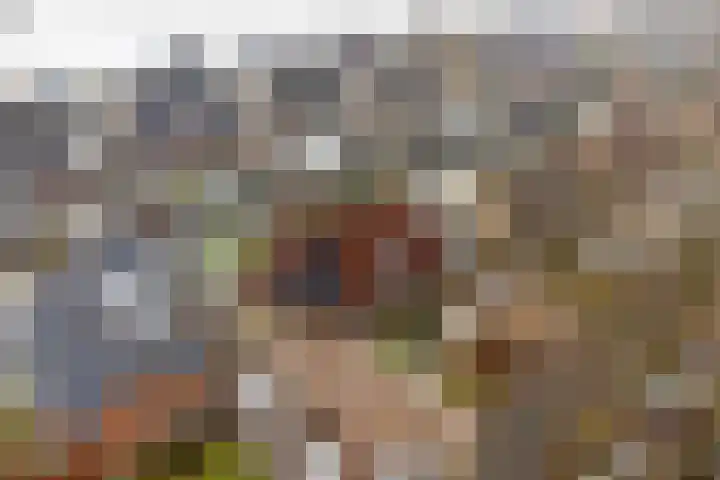 De Wieke 19 Valthermond thumbnail 41