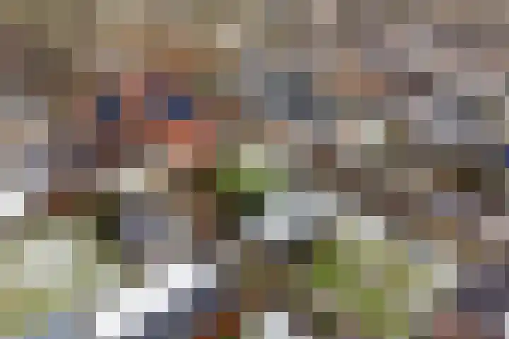 De Wieke 19 Valthermond thumbnail 42
