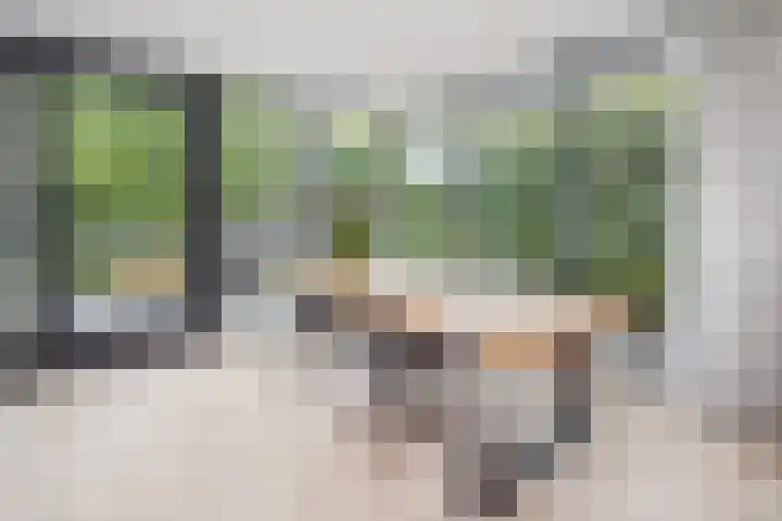 De Wieken 1 Wijdenes thumbnail 11