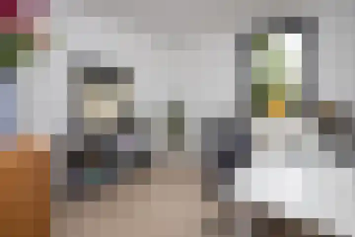 De Wieken 1 Wijdenes thumbnail 16