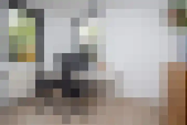 De Wieken 1 Wijdenes thumbnail 17