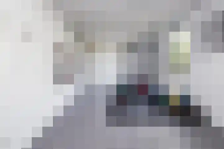 De Wieken 1 Wijdenes thumbnail 19