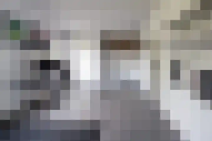 De Wieken 1 Wijdenes thumbnail 20