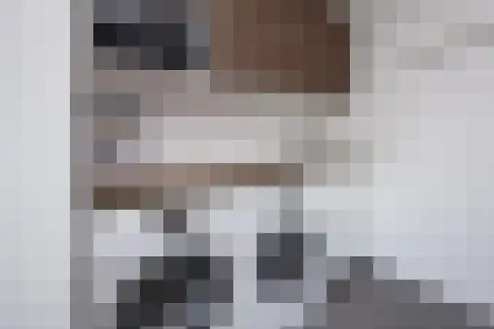 De Wieken 1 Wijdenes thumbnail 21