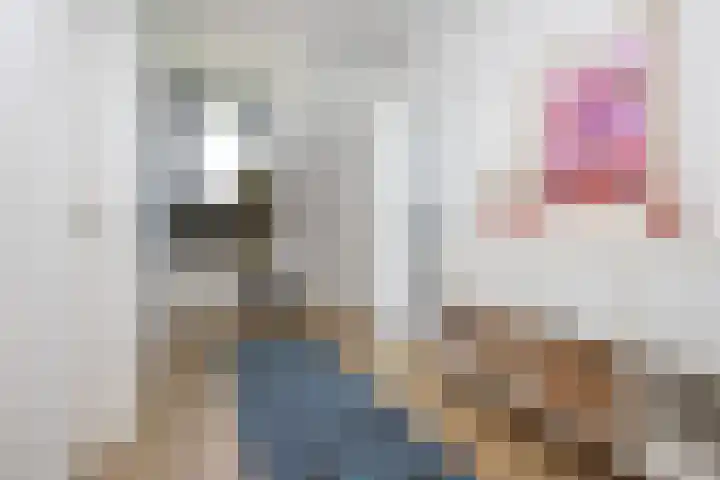 De Wieken 1 Wijdenes thumbnail 22