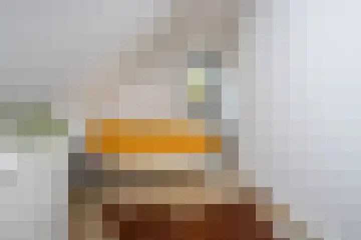 De Wieken 1 Wijdenes thumbnail 26