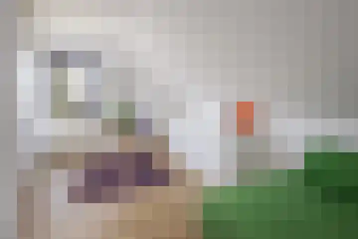 De Wieken 1 Wijdenes thumbnail 28