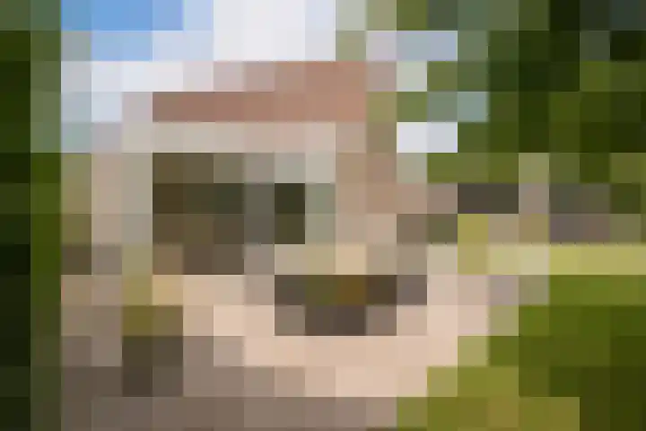 De Wieken 1 Wijdenes foto 3