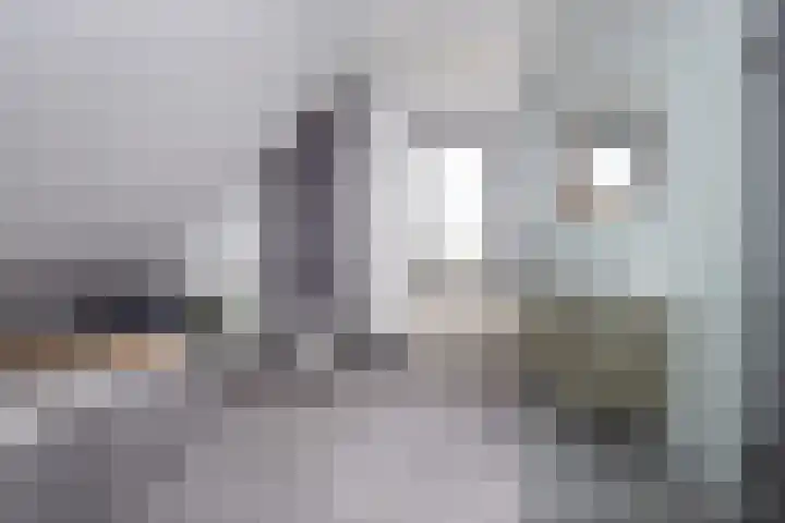 De Wieken 1 Wijdenes thumbnail 30