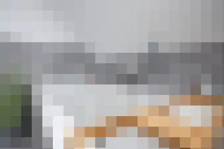 De Wieken 1 Wijdenes thumbnail 32