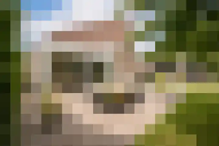 De Wieken 1 Wijdenes thumbnail 34